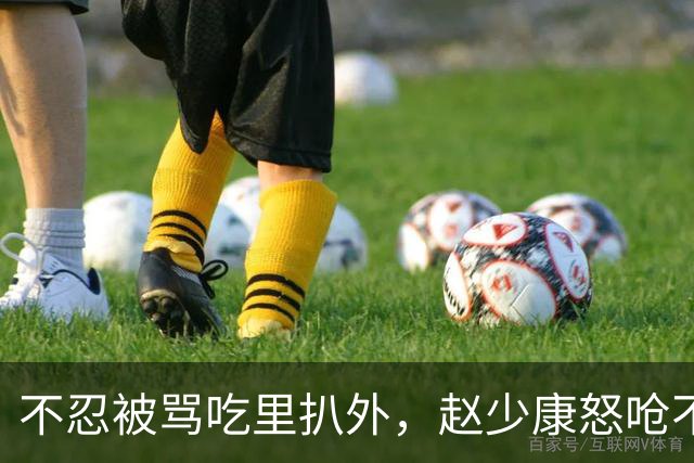 不忍被骂吃里扒外，赵少康怒呛不欠国民党，朱立伦：尊重专业，感谢付出