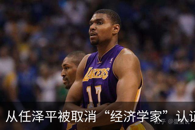 从任泽平被取消“经济学家”认证说起