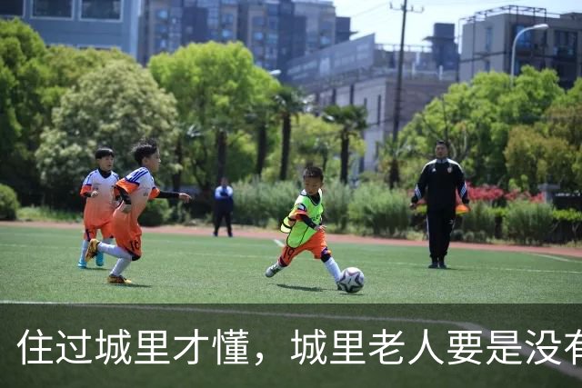 住过城里才懂，城里老人要是没有退休金，晚年真的不容易