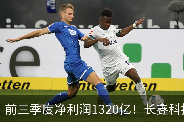 前三季度净利润1320亿！长鑫科技：已与多家头部客户协商长期供货协议