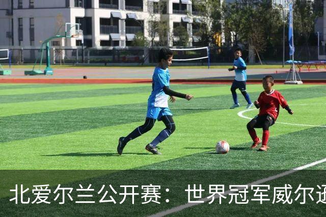 北爱尔兰公开赛：世界冠军威尔逊6-1横扫两冠王，克雷吉完胜斯莱瑟进四强