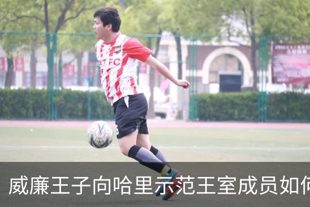 威廉王子向哈里示范王室成员如何真正接受电视采访，差距一目了然