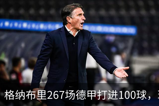 格纳布里267场德甲打进100球，现役德甲球员中第三位百球先生