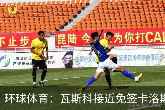 环球体育：瓦斯科接近免签卡洛斯-维尼修斯