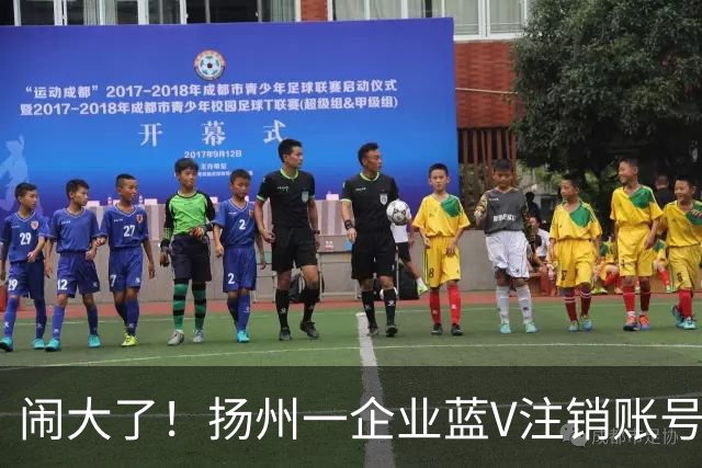闹大了！扬州一企业蓝V注销账号想“跑路”：为披旭日旗言论开脱惹众怒，警方已介入调查