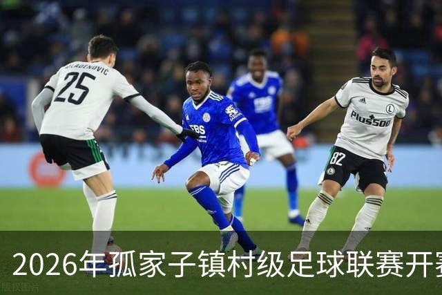 2026年孤家子镇村级足球联赛开赛